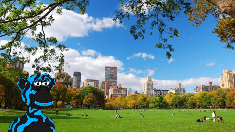Tony visited Central Park today! What are your Frapes up to? #FrapesfollowFrapes