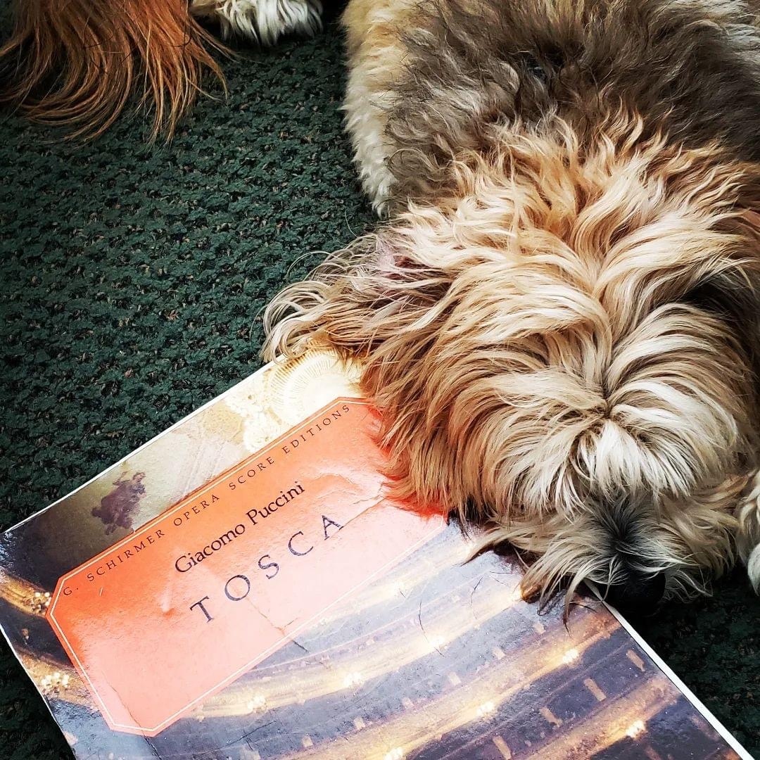 Opera Carolina tweet media