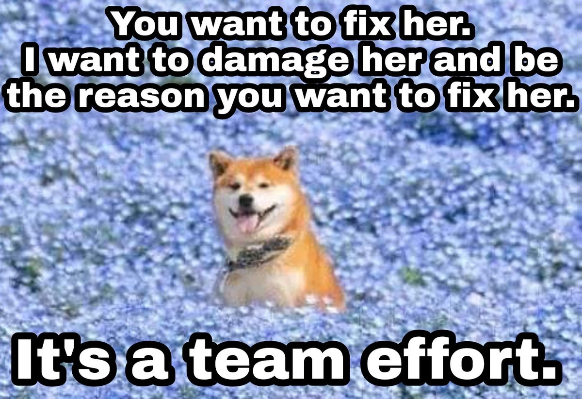 Doge_Collection's tweet photo. https://t.co/EKVJsaATsd