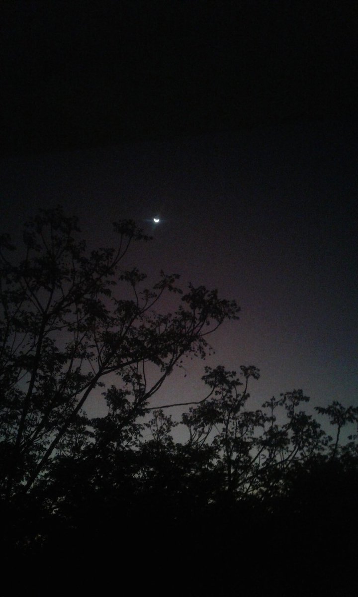 💖💖🌙🌙🌙🌙