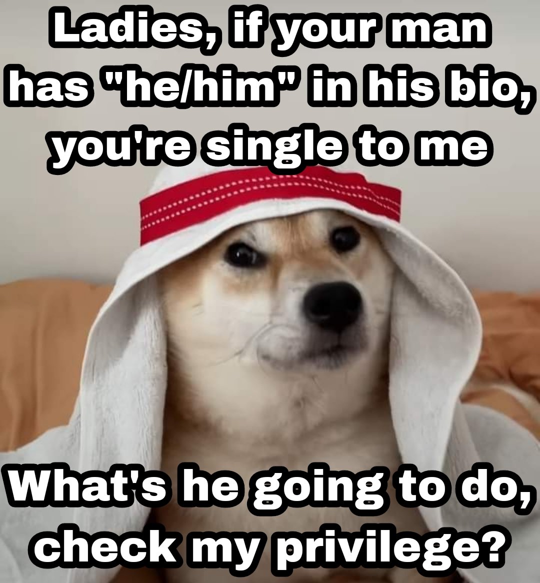 Doge_Collection's tweet photo. https://t.co/ip6apw9tG7