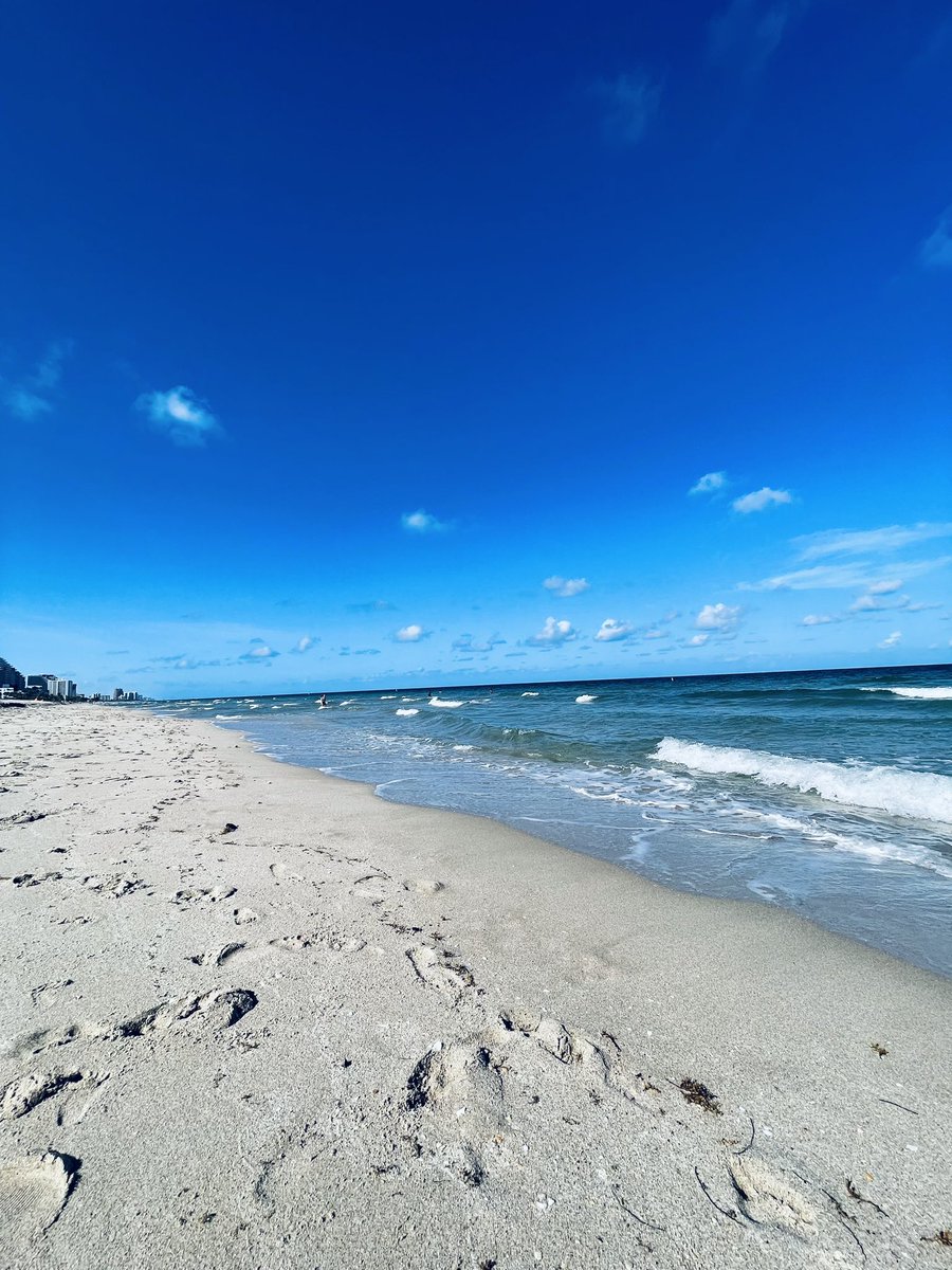 doolydoom's tweet photo. My view as of late Soflo resident🌴🌴 https://t.co/aFvTKvNViw