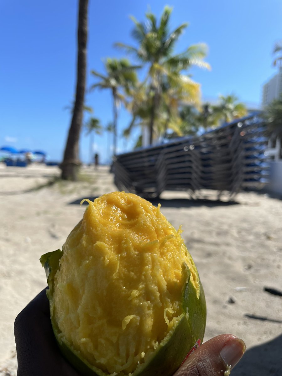 doolydoom's tweet photo. My view as of late Soflo resident🌴🌴 https://t.co/aFvTKvNViw
