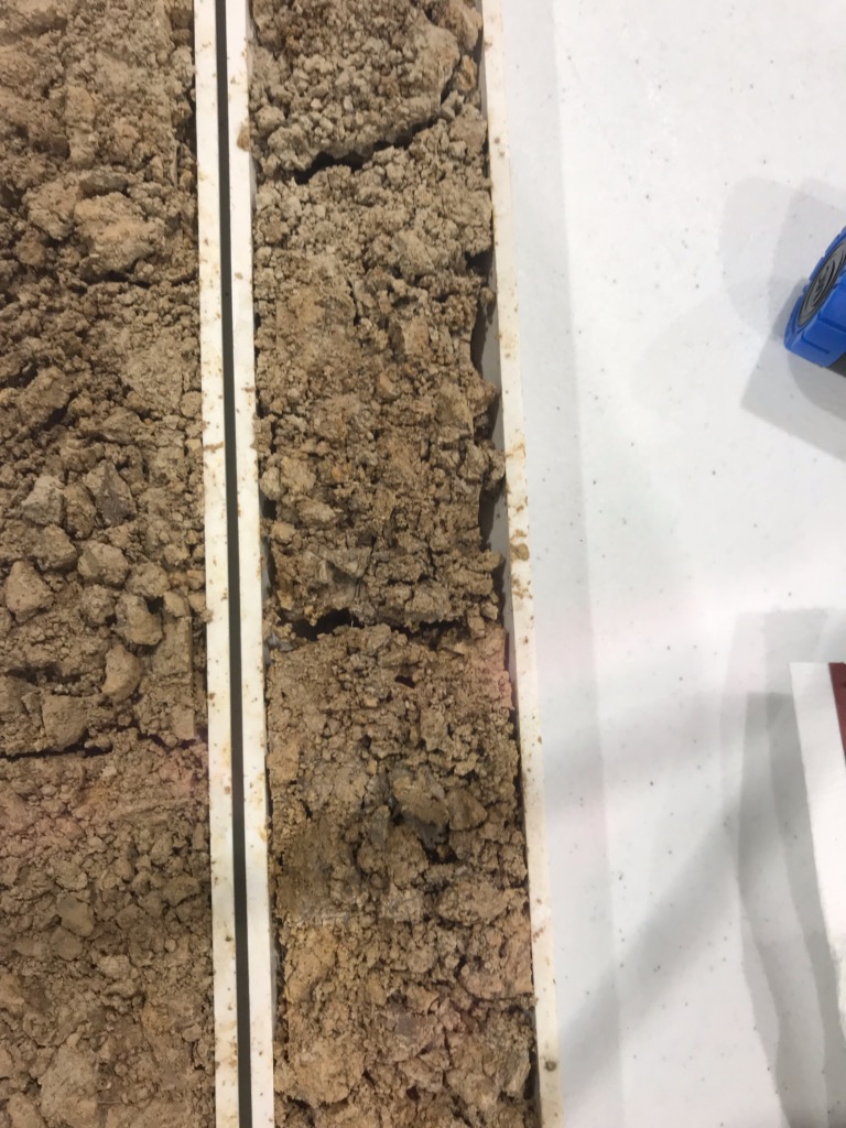 CropTalkMegan's tweet photo. #MurrayState Racer Aggie's took a trip to Irvington IL to learn from #BayerCropScience folks! It was a great and informative trip. Short stature 🌽, product development, cassette planter, UAS, data handling, and fragipan soils...shoes up! @murraystateuniv @msuagriculture https://t.co/fn1j6p9sQ4