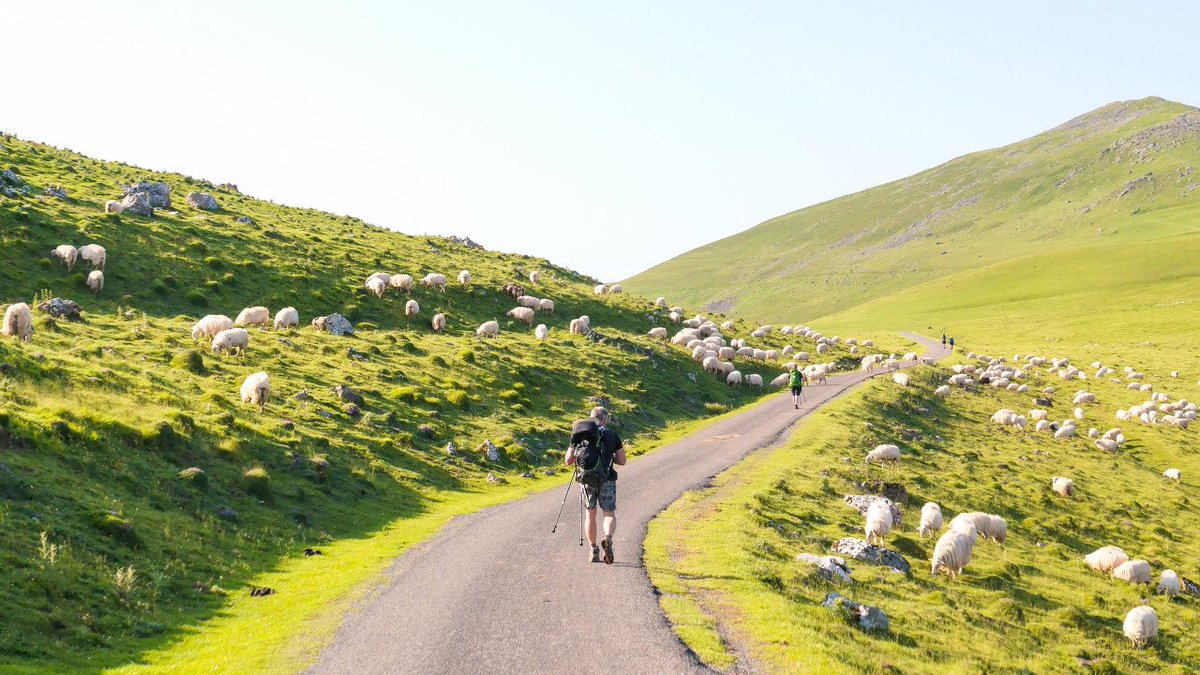 orangefire.eth tweet media