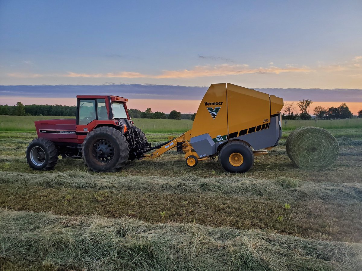 JohnWinkels1086's tweet photo. @JoannaMWallace Makein hay https://t.co/CkWTID7pHc