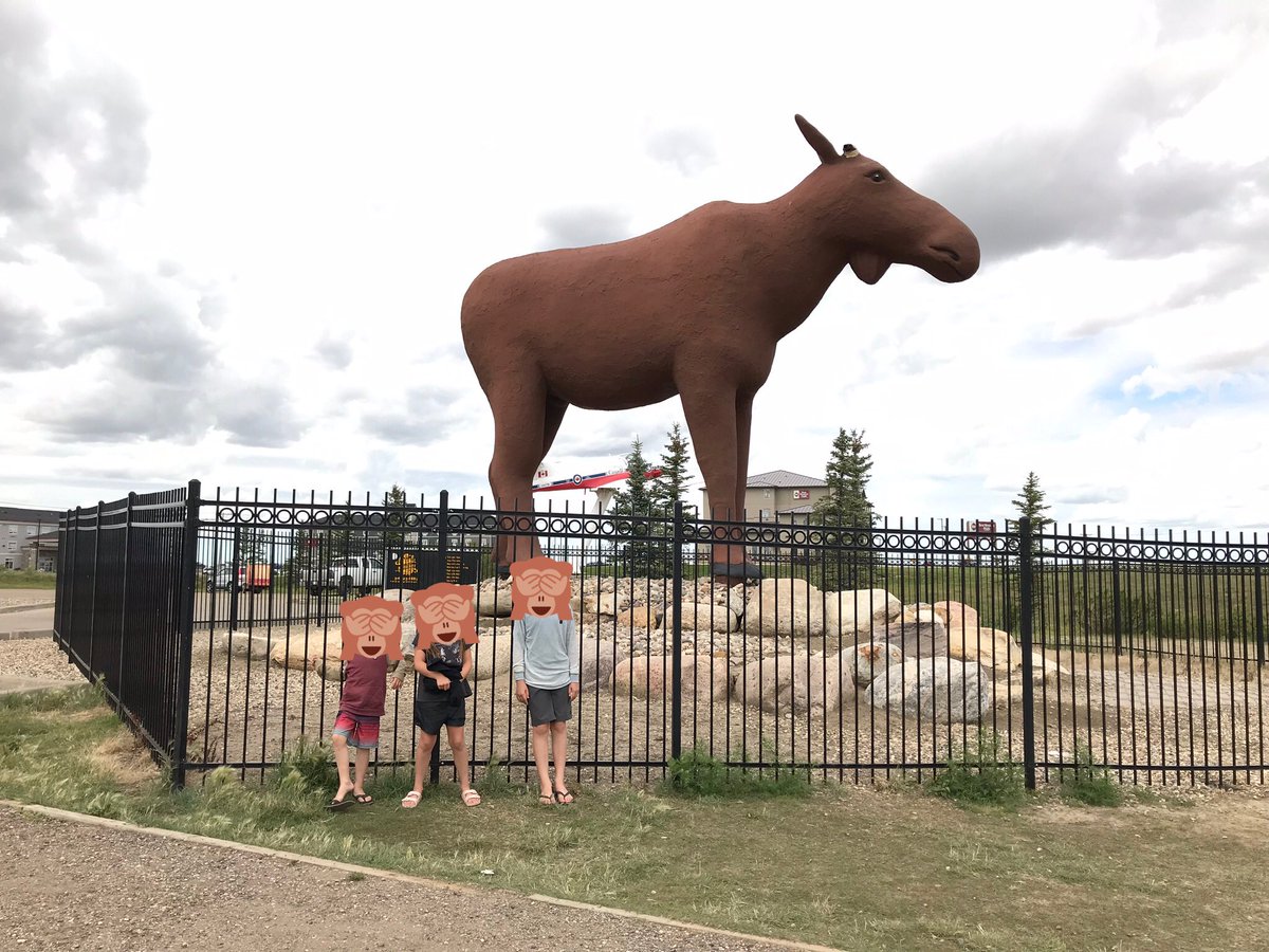 TMMintenko's tweet photo. @strategywoman 5:43 pm in Moose Jaw, Saskatchewan on the Canadian prairies 🇨🇦
When you come to Canada be sure to come here! I will show you Mac, the world’s largest moose and we’ll tour the Tunnels of Moose Jaw.
Take care Yara #EarthAngel #MagicFairy, Mom, Son & kitty ♥️🇺🇦🌹🌻😎 https://t.co/PbVI9RtP3B