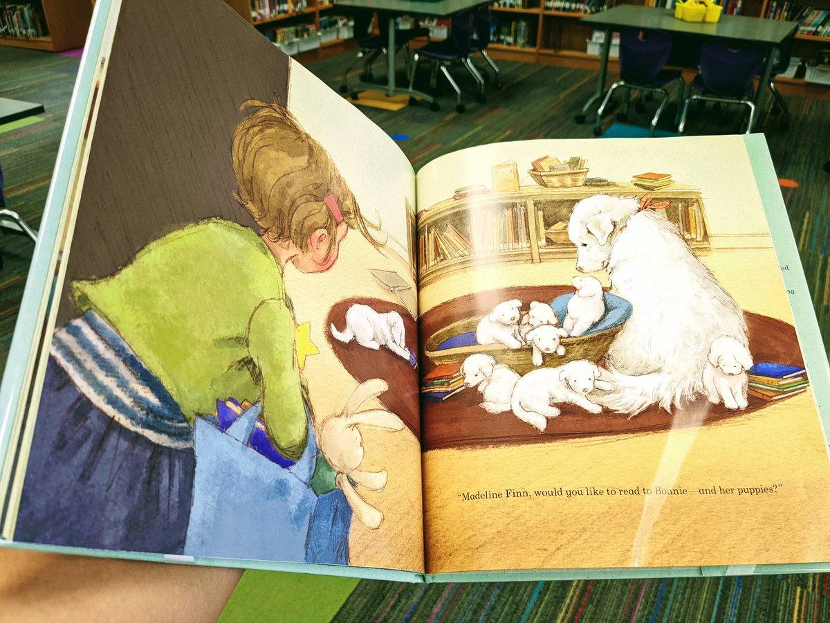 Happy tears in the library! Reading Madeline Finn and the Library Dog with a first grade class and we got to the big climax of the story (puppies!). One little boy, eyes streaming with tears, says, "Ms. C, I'm so happy that I think I'm crying?! What is happening to me?!"