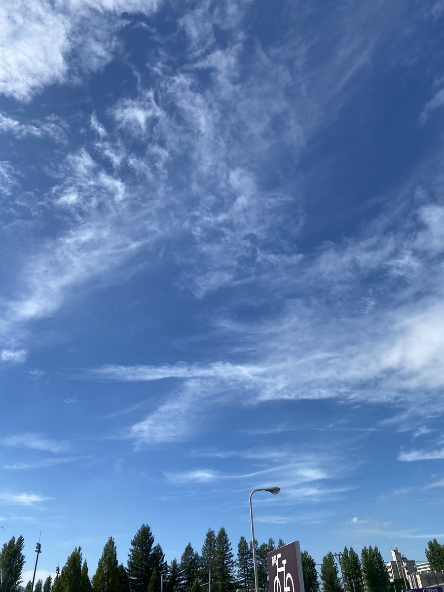MAP16116649's tweet photo. おはようございます☀
今日はこんないいお天気がいいから、
お布団やシーツを洗濯したのに、
おはよう朝日のTVで天気が変わりやすい日だと知った株式会社LEAD です。

気にしない！自分を信じる😂

今日も1日頑張りましょ😊 https://t.co/zW0pSaPq6l