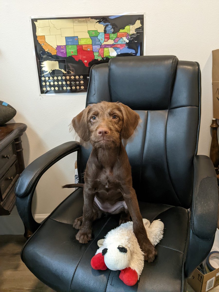 EmmaaHigginsss's tweet photo. She's our little business woman. She's making important deals https://t.co/1rhU3CfNOE