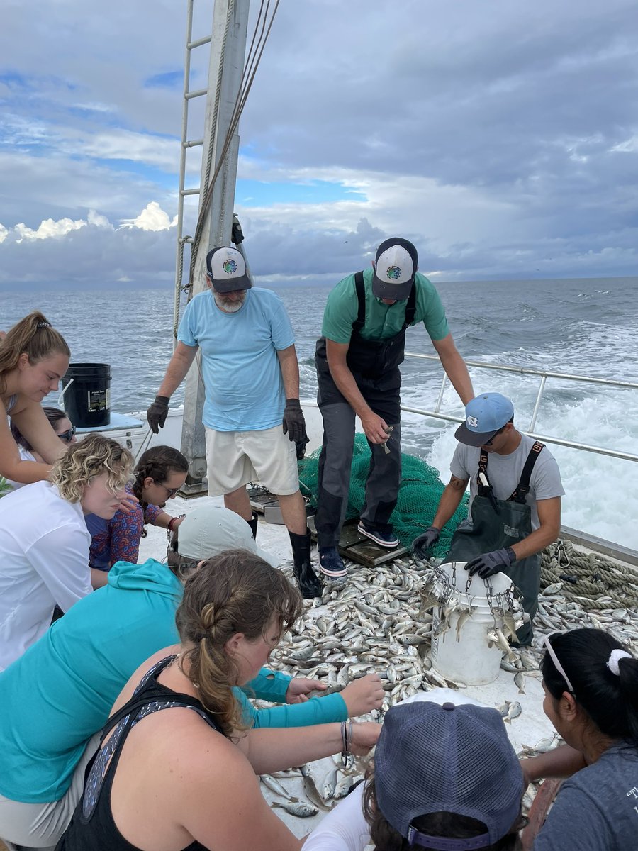 Shark science and so much more! It was such an eye-opening experience to be a part of the longest running shark survey and to see the research process executed so well by <a href="/UNCims/">UNC IMS</a> faculty.