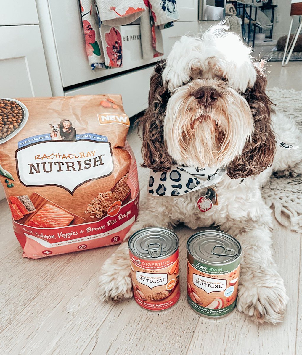 Influenster's tweet image. Warning: May cause excessive tail wagging! Rachel Ray’s @Nutrish dog food collection has the savory flavor your pup will love with the wholesome, premium ingredients you’ll be happy to feed them.🐾

Have you fed your dog #NutrishPets? 
📸: Steph #regram
bit.ly/3mRE76Q