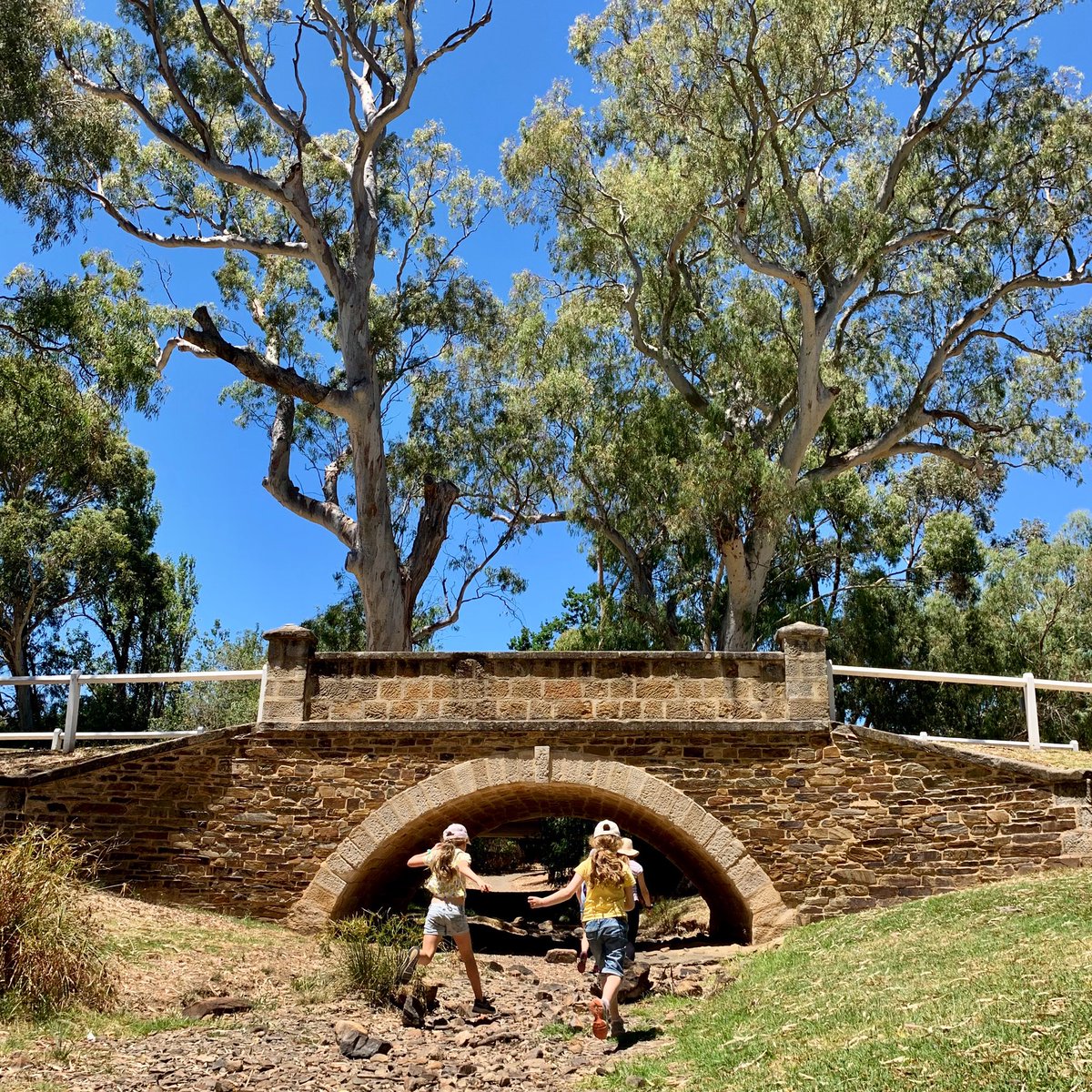 Keith Conlon tweet media