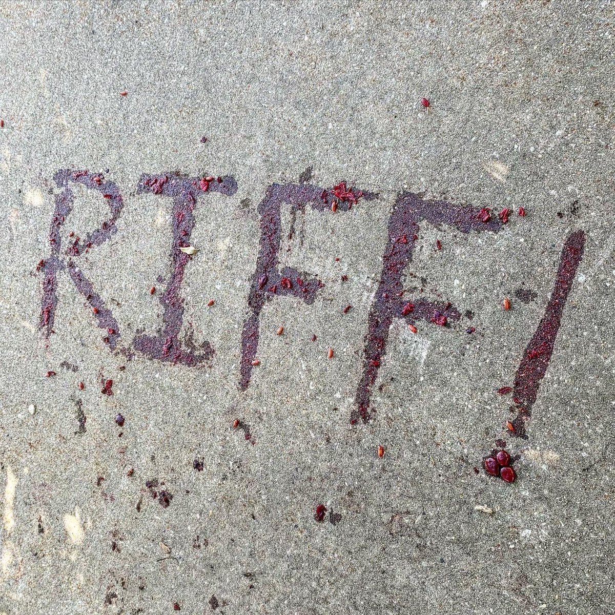 RIFF: Chicago’s Music Improv Party (@riffimprov) on Twitter photo Organic Marketing 🌳🎹🌳 #riffimprov #chicago #music #improv #noaddedsugar #party #itsgotthejuice 
#neiu #chitown #windycity #chicagomusic #chicagomusicscene #musicaltheatre #musicalimprov #chicagocomedy #chicagoimprov Organic Marketing 🌳🎹🌳 #riffimprov #chicago #music #improv #noaddedsugar #party #itsgotthejuice 
#neiu #chitown #windycity #chicagomusic #chicagomusicscene #musicaltheatre #musicalimprov #chicagocomedy #chicagoimprov