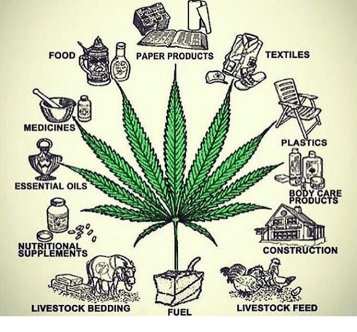 cannabishub's tweet photo. Over 50,000 uses the cannabis plant has...

#cannabiscommunity #cannabisculture #cannabisindustry https://t.co/XQoC8vhOC0