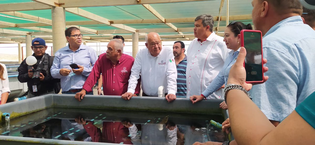 VictorCastroCos's tweet photo. Desde #PuntaAbreojos nos reunimos con pescadoras y pescadores, así como con integrantes de la Federación de Cooperativas Pesqueras de Baja California (#FEDECOOP) donde reconocimos el arduo trabajo realizado por las y los cooperativistas.
1/2 https://t.co/0aeiDN0utW