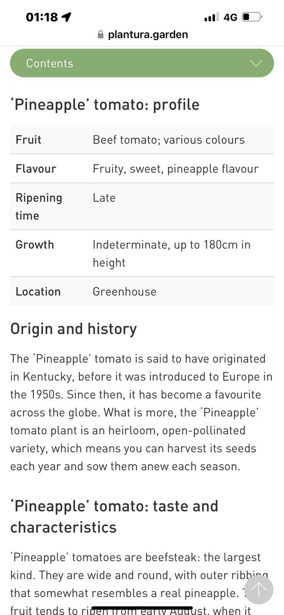 NursepollyRgn's tweet photo. Dear god, why am I only after finding out about these rn ??? #pineappletomato #goals ๐๐๐๐๐๐๐ @eoinyk @DirtyButClean https://t.co/5jF7QKTcgV