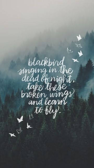 laniewrites's tweet photo. https://t.co/m2b6uoSkJw