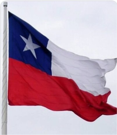 Campanita_Chile's tweet image. #RechazoConFuerza 
#TodosPorElRechazo 
#RechazoXAmorAChile