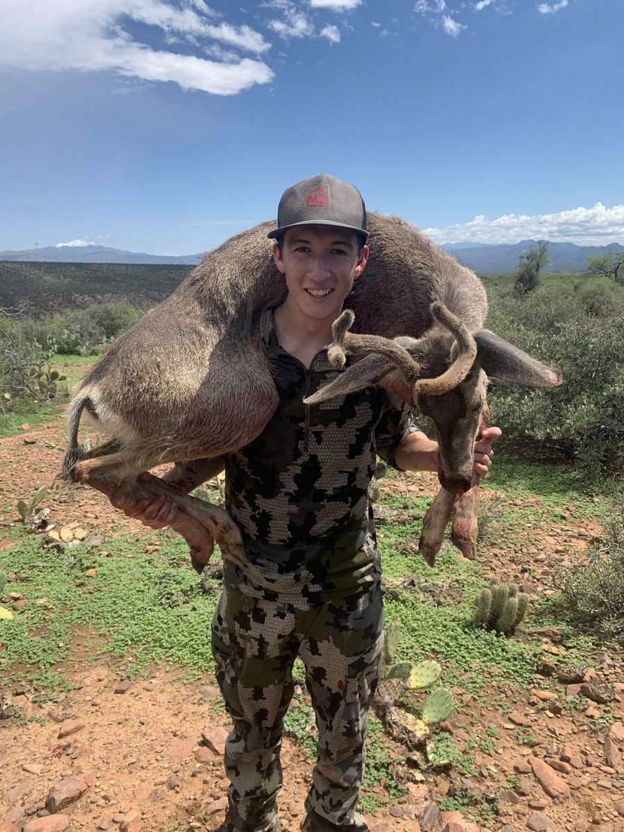 This is for the tree huggers out there if you aren’t a tree hugger keep scrolling