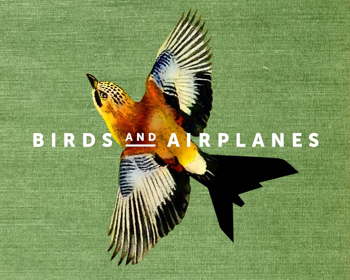 Pat Bourgeault tweet media