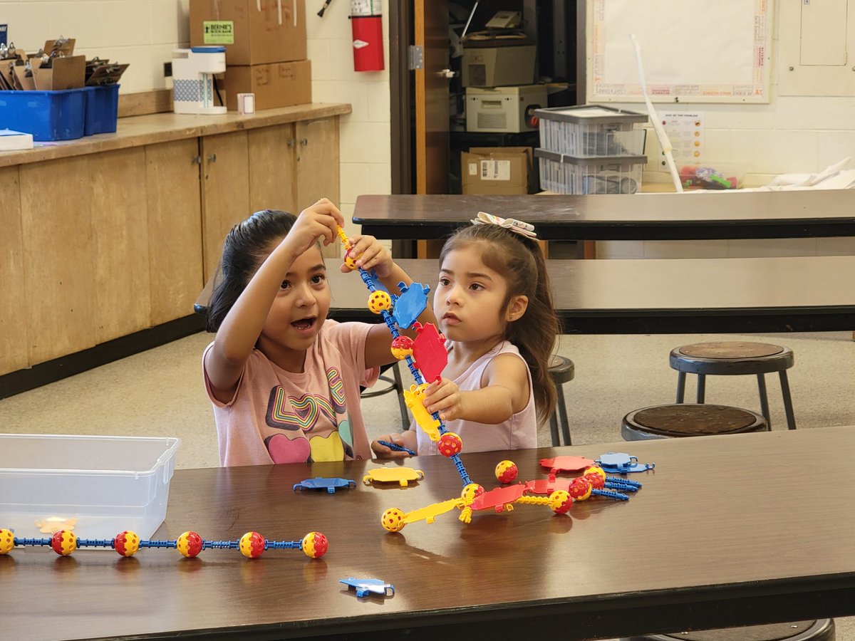 Molly Knott tweet media