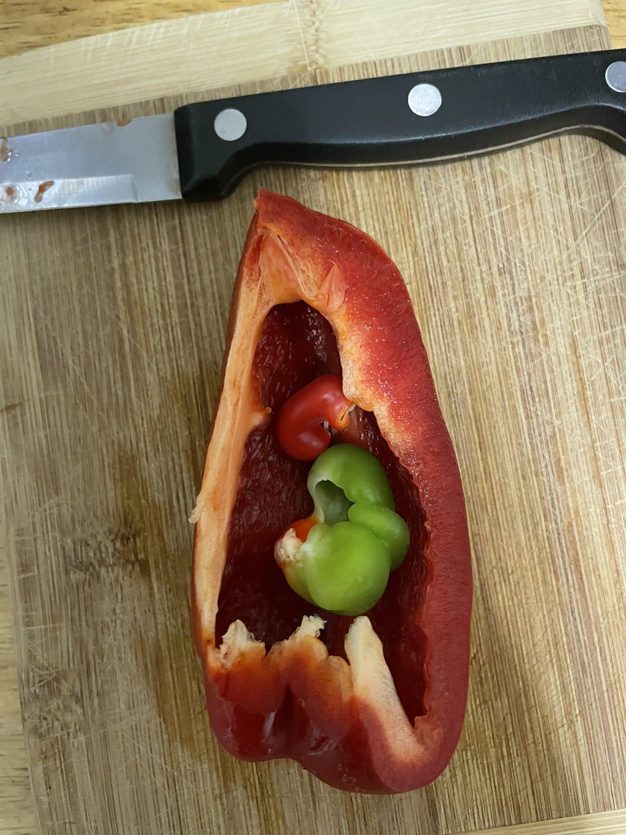 TheRealBSkell's tweet photo. omg my red pepper was pregnant with twins, what have i done?? https://t.co/7lyHmcfBVO