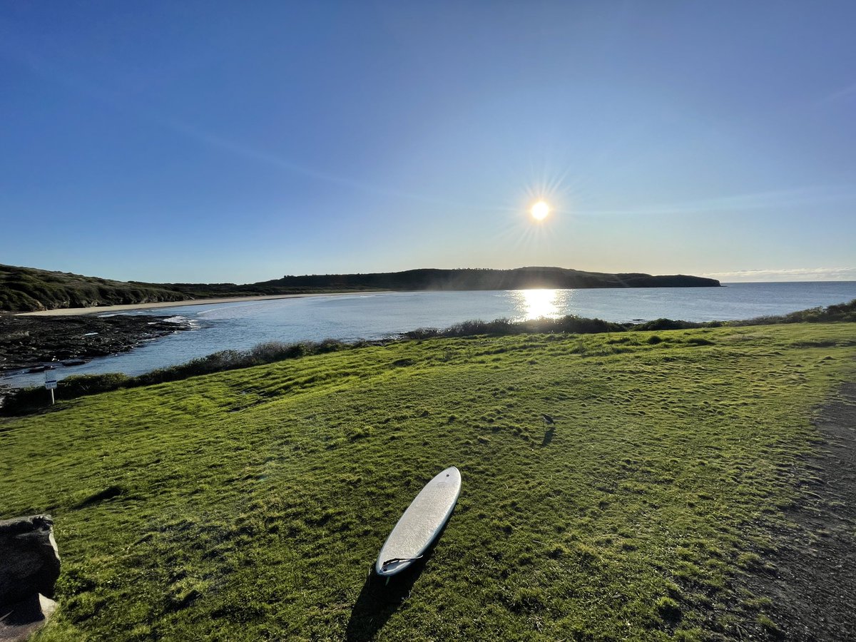 Glennfen87's tweet photo. Starting my Wednesday like it is a Monday... 🤪🤙🏻#thefarm #killalea https://t.co/upT0jdNCxk