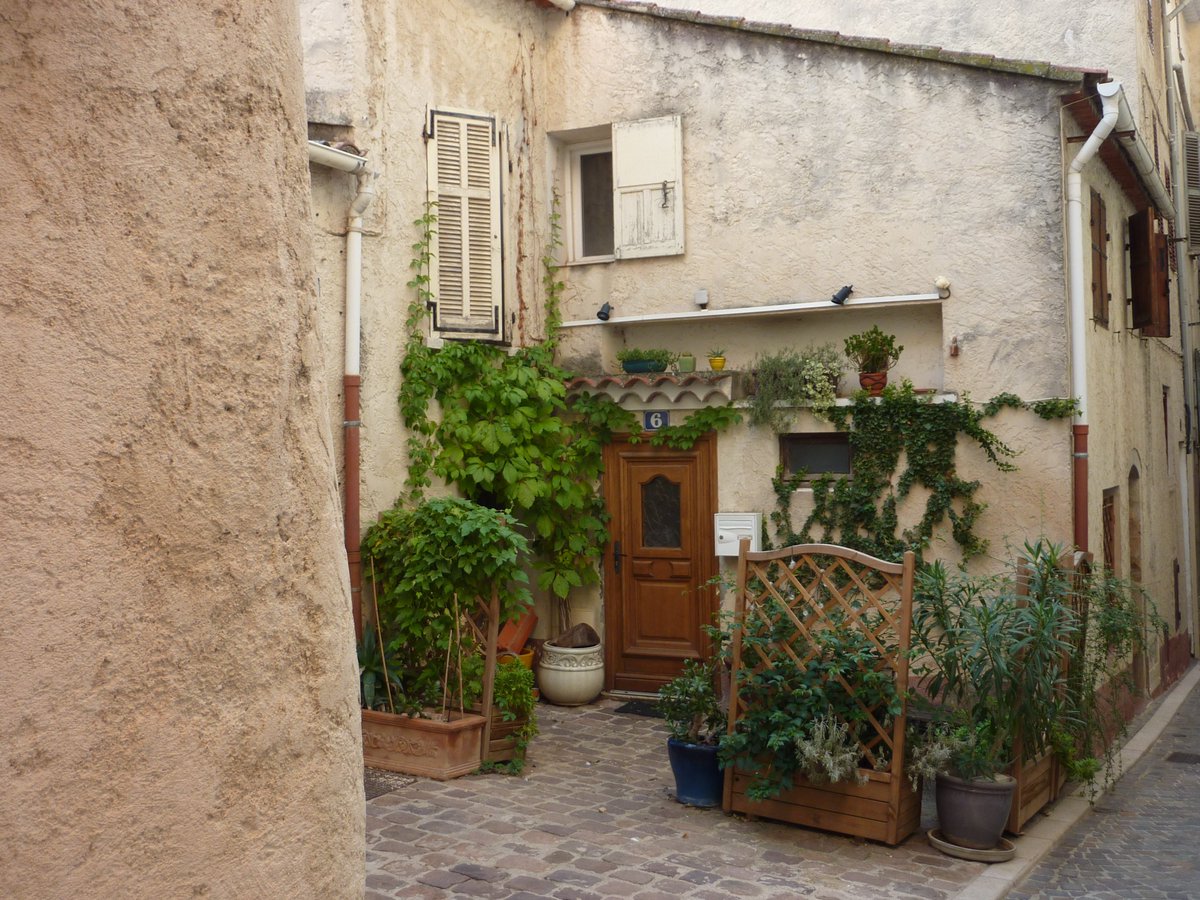 MRoffinella's tweet photo. #photo #Hyères #ParcoursDesArts #CentreAncien #CoeursDeVille
Petit coin de paradis.
©MartineRoffinella https://t.co/0kI9a6hBtR