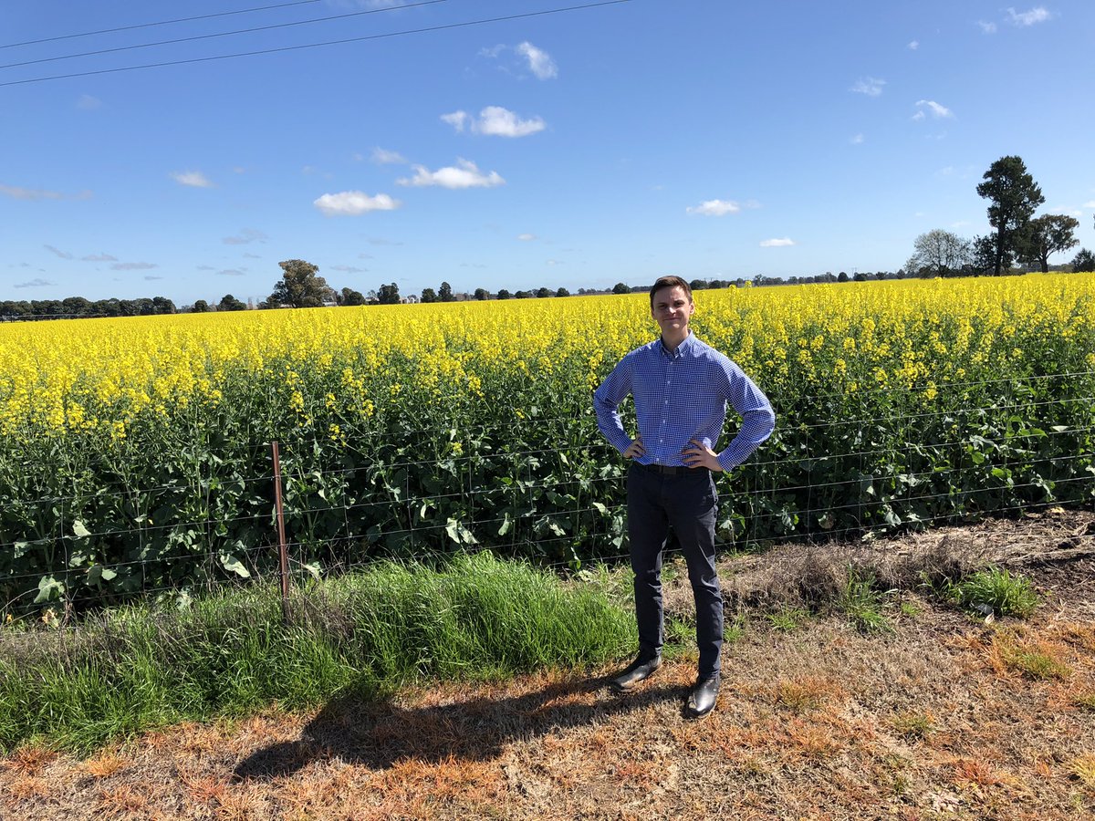 Dennis Voznesenski tweet media