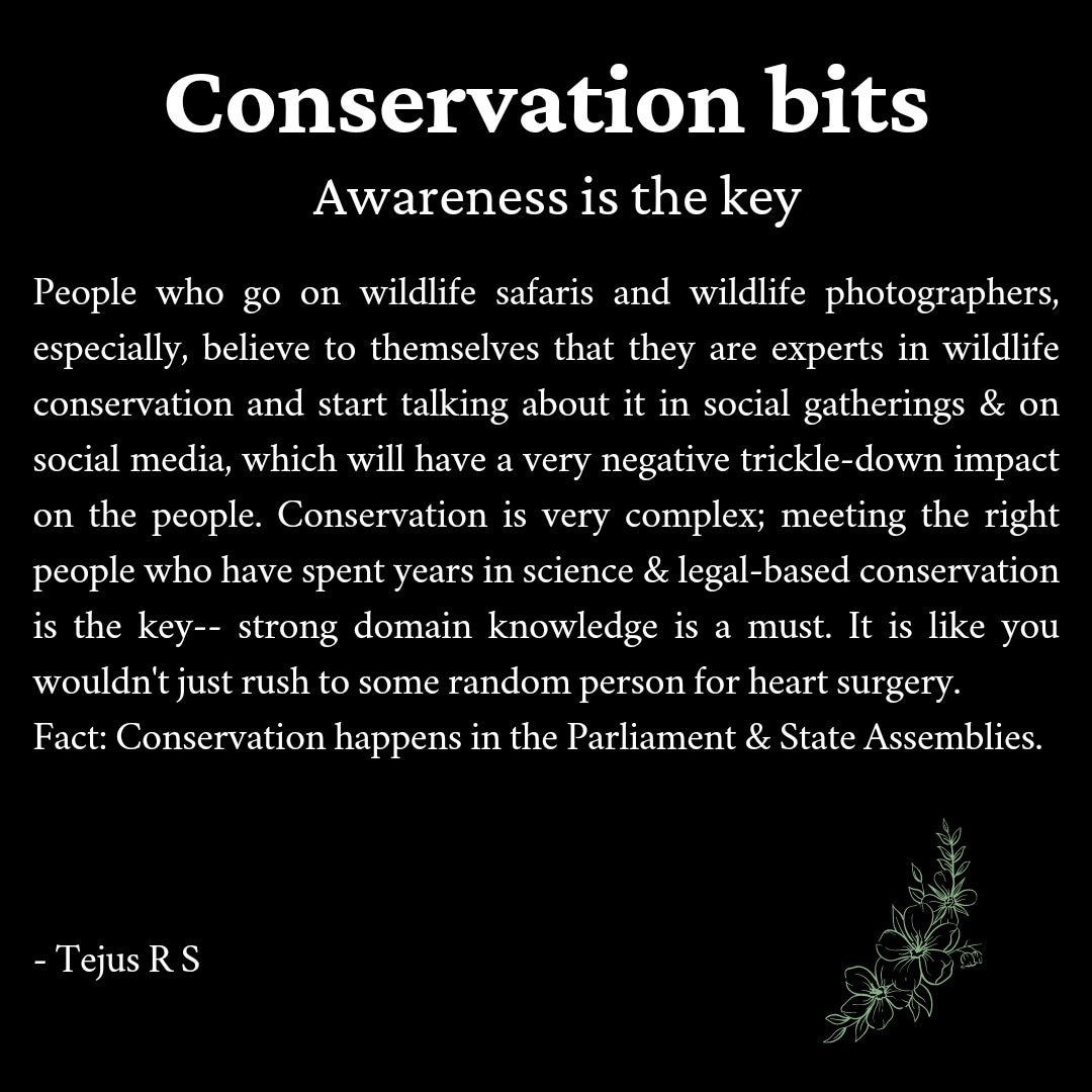 tejus_rs's tweet photo. @wildmeera @Amitsen_TNIE
#sciencebasedconservation https://t.co/gQqRQRprax