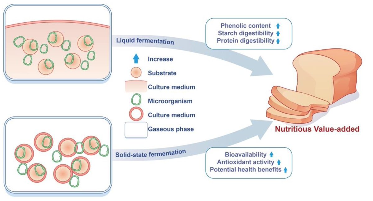 Foods_MDPI's tweet photo. #mdpifoods #Review_Collection
👉Recommend the Review "Recent Developments in #Fermented #Cereals on Nutritional Constituents and Potential #Health Benefits" by Jiayan Zhang et al.
Details at https://t.co/CG2PAr5But
#fermentation #cereal #strain #nutrition #health_benefits https://t.co/QHFmcvBAM2