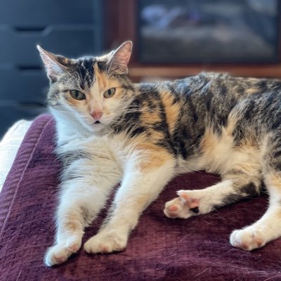 #NewProfilePic
