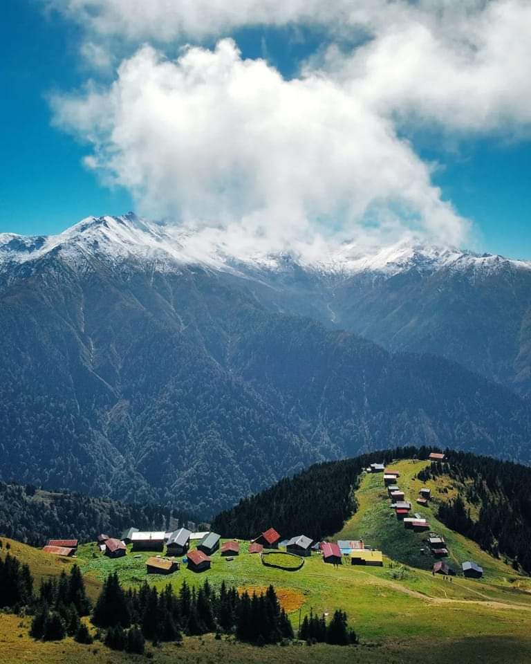aydintufekci43's tweet photo. Pokut Yaylası / RİZE 
Görsel © Yunus Tuğ https://t.co/mVo95IlX1v