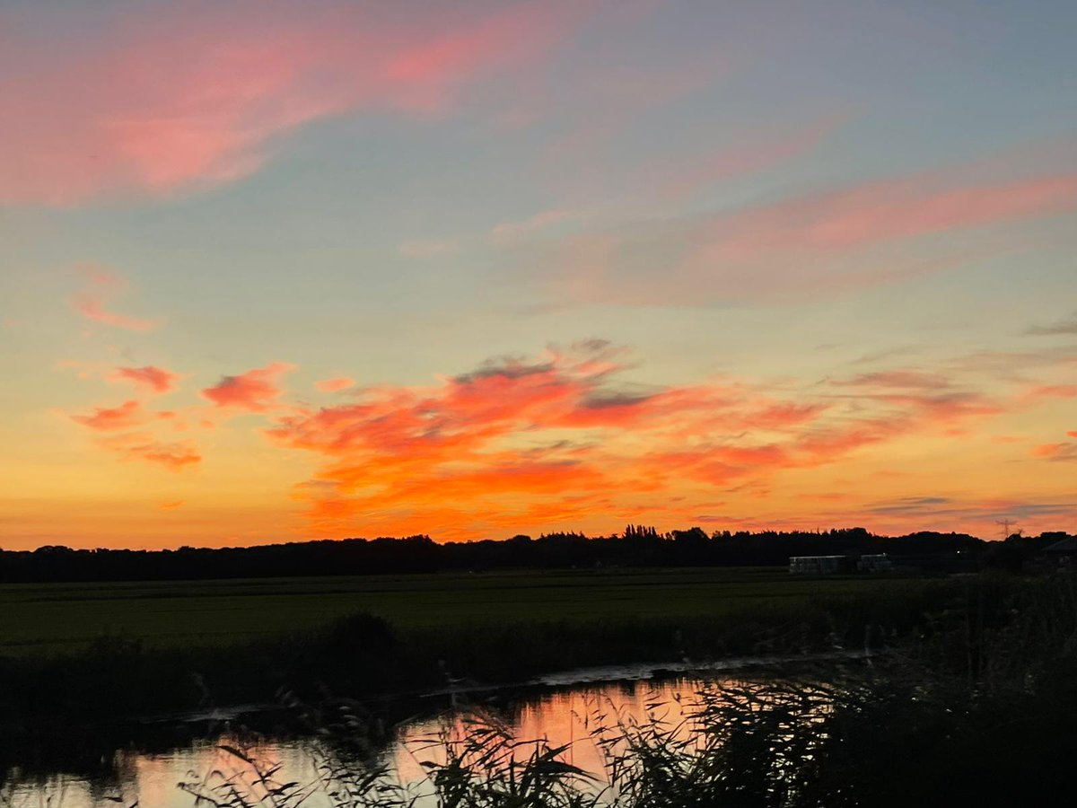 Goedemorgen, was is het toch heerlijk als je heel vroeg op de fiets zit naar mijn werk en kunnen genieten van alle moois🥰🌄 mooie dag vandaag allemaal #zonsopkomst