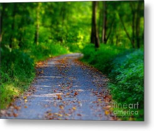 tamitrailscapes's tweet photo. A Whisper Of Autumn In August https://t.co/yum1HOqgVx #ThePhotoHour #ArtistOnTwitter #BuyIntoArt #August2022 #summer #falliscoming #landscape #art for #giftidea #wallart #homedecor #officedecor! @visitPA #DLTrail @DLNHC #LehighValley @LehighValleyPA #photoart #PASummerDays #fall https://t.co/grKhsTpAwZ