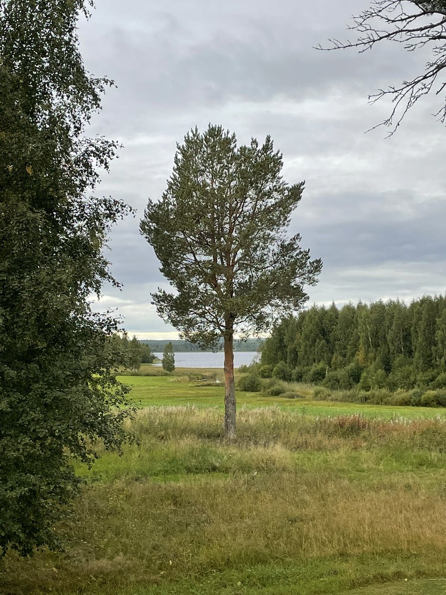 Lovevaru's tweet photo. Hösten är på väg…lite kyligt idag! https://t.co/Sk6dF2qdQF