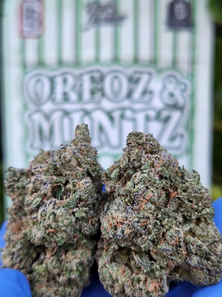 Oreoz &amp; Mintz #OreozAndMintz #TheBackpackBoyz #BackpackBoyz