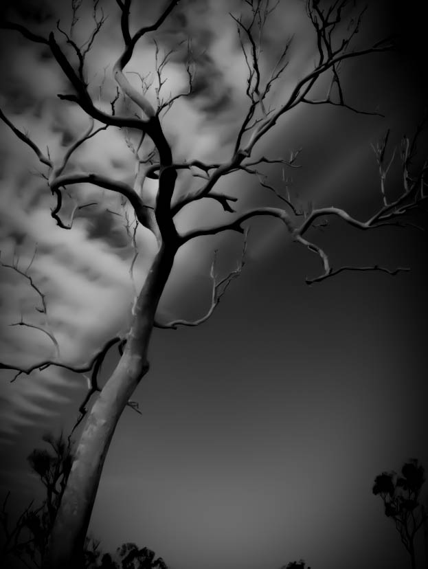 CameraHouse's tweet photo. π· Judy Haylock
#finalist Camera House Photo Friday #trees
Be sure to click the link in our bio and enter our Photo Friday Competition for your chance to win a $200 Camera House gift card.
#photography #camerahouse #chphotofriday #photooftheday #daily #picoftheday #photo https://t.co/zLQ1KxKE8l