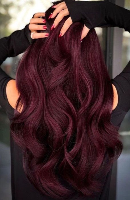 Lalapureangel's tweet photo. Next hair color comment on which one you like highest votes wins #fallhaircolorππ»ββοΈππ https://t.co/4lD8Xf6mnW