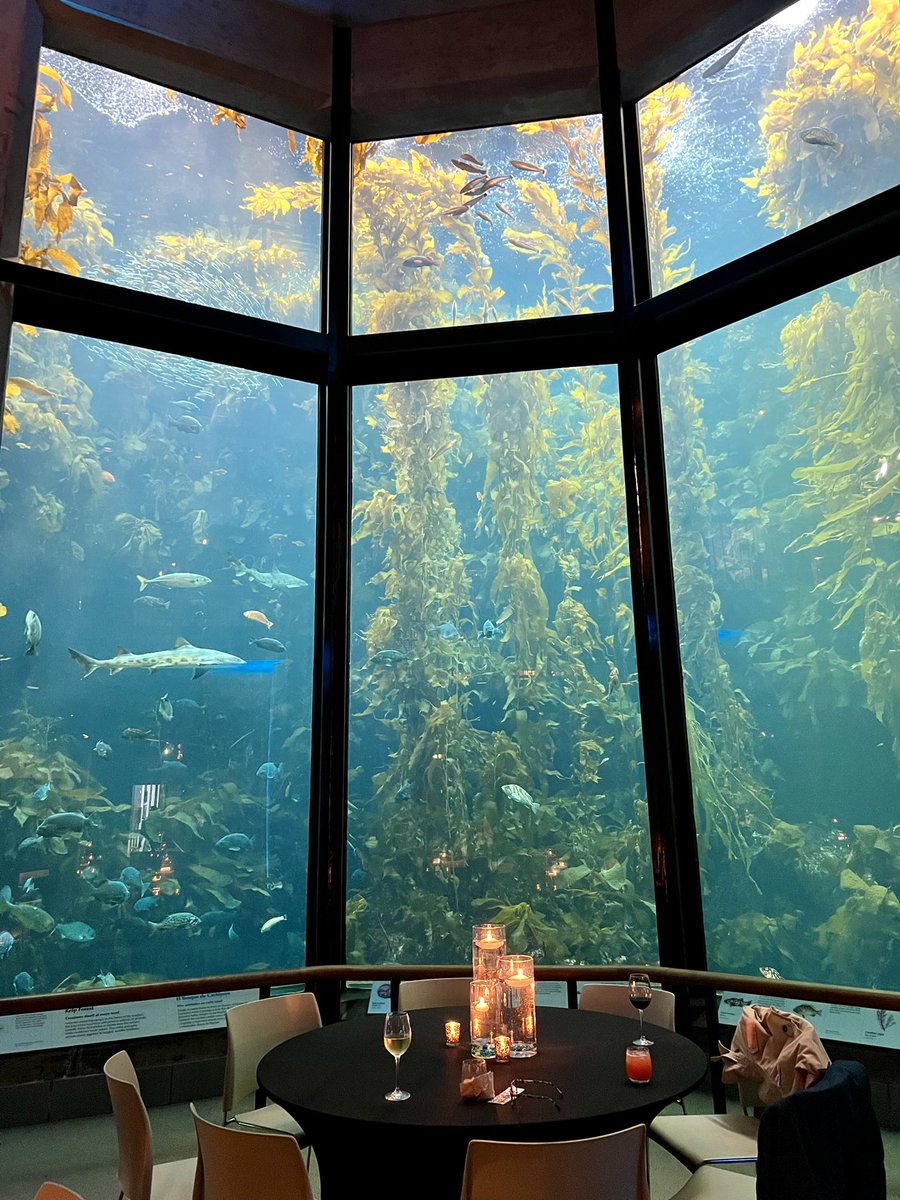 rachelanneruss's tweet photo. Highly recommend an evening reception at the @MontereyAq! One of the most stunning event venues I have seen thus far in my career. #DestinationCalifornia #NMGevents https://t.co/J9Znq9lkSS