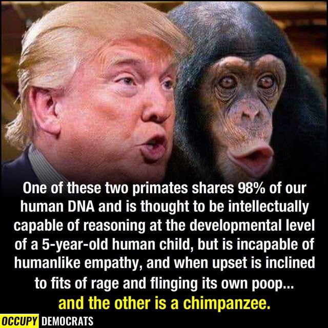 Paul Gerber, CSC,CSI,SCIP tweet media