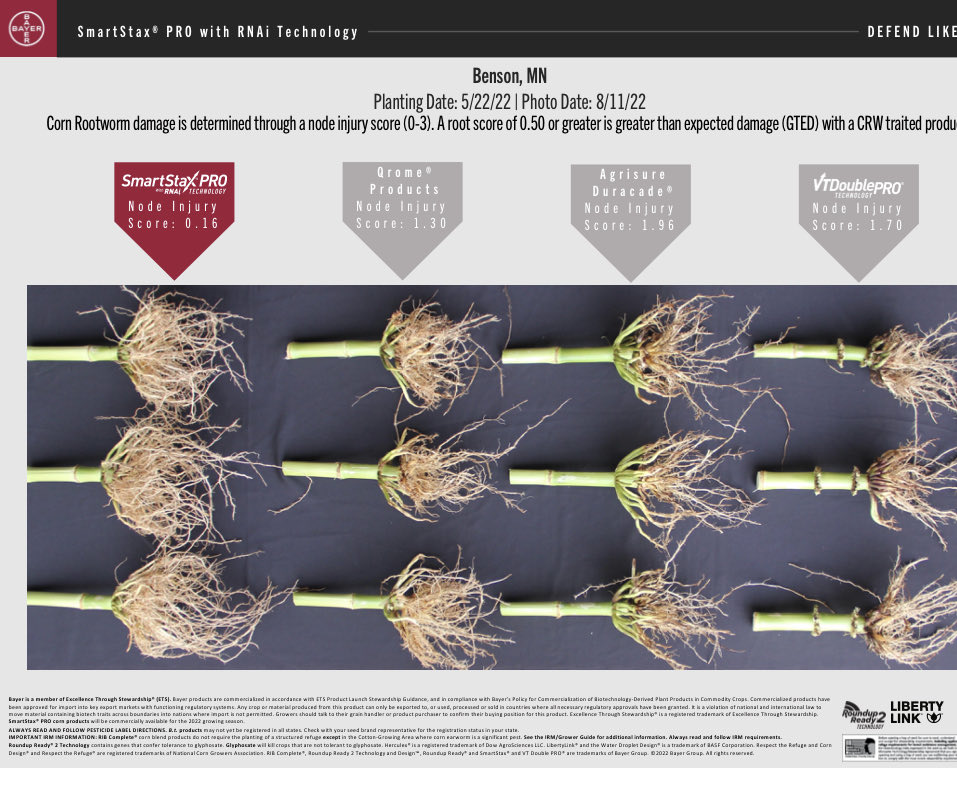 tonyweis1's tweet photo. Planning corn on corn in 2023?  Check out performance of SmartStax PRO.  Coming to you in Elite Channel Corn Hybrids!  #ChannelMN https://t.co/3Gu61GNLsv