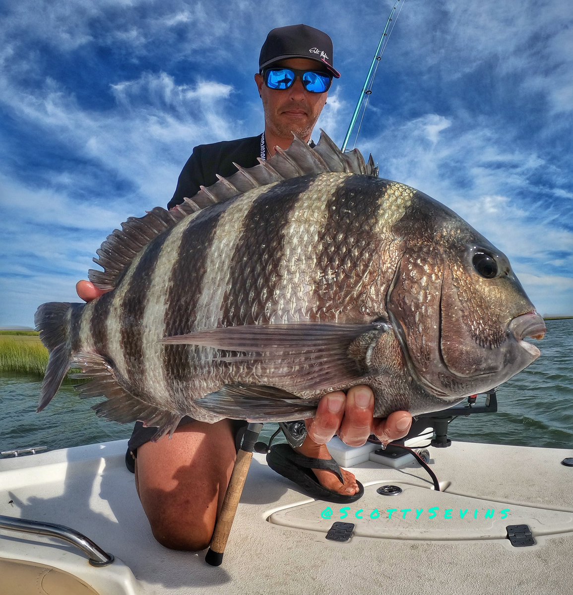 ScottySevins's tweet photo. Double Digit Sheepshead. Contact me for charters in Ocean City NJ #sheepshead #sheepsheadfishing #njfishing #NewJersey #ocnj #oceancitynj #saltwaterfishing #bassfishing https://t.co/ukadJzTznB