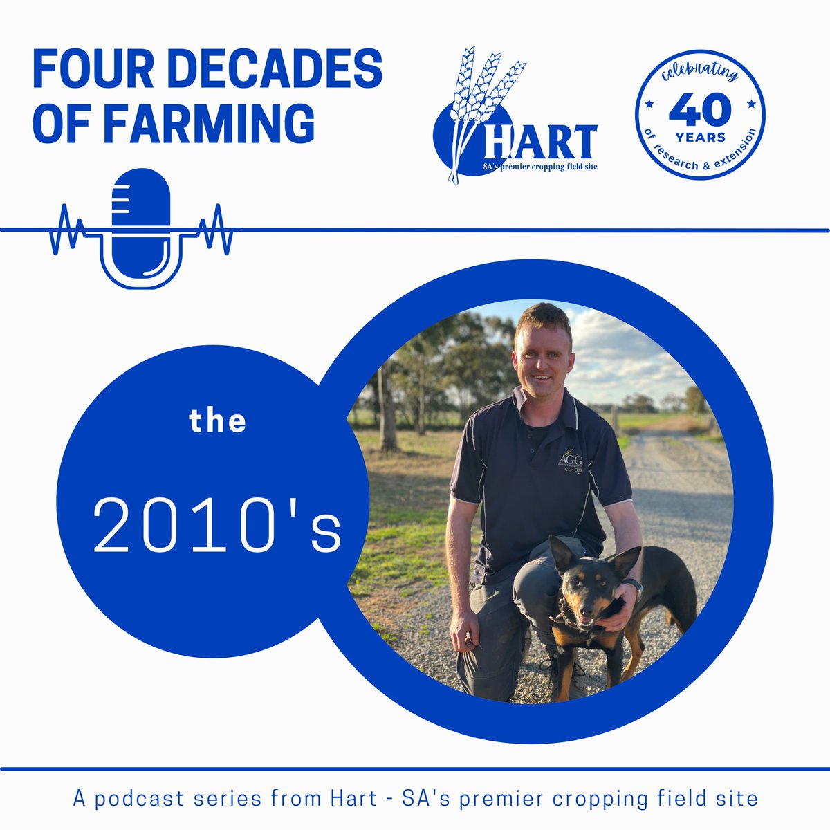 The latest edition of Hart News is out now!
mailchi.mp/4b48ee9cd226/2…
✅ All your HART FIELD DAY information
✅ Listen to Episode 1 of FOUR DECADES OF FARMING, a brand new podcast series to coincide with our 40th anniversary