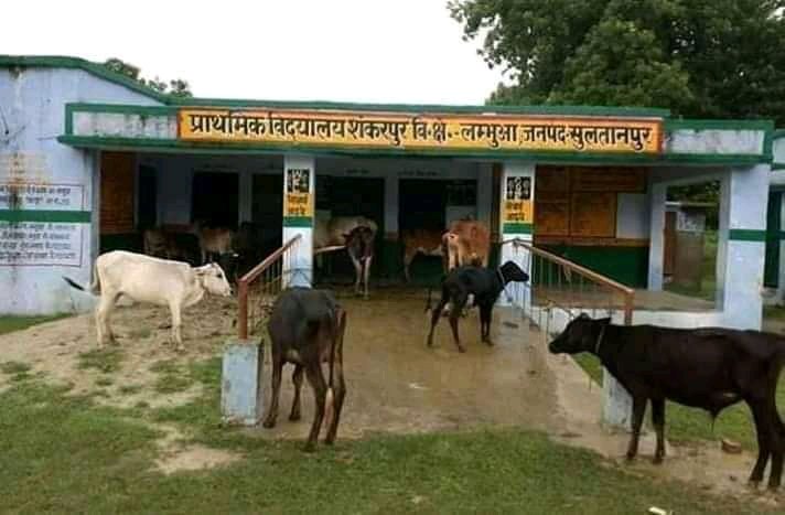 maryada_maurya's tweet image. दिल्ली प्राइमरी स्कूल का हाल....?