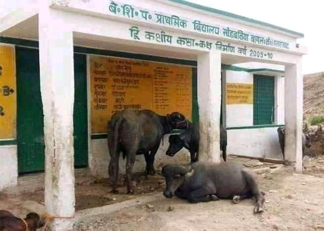 maryada_maurya's tweet image. दिल्ली प्राइमरी स्कूल का हाल....?