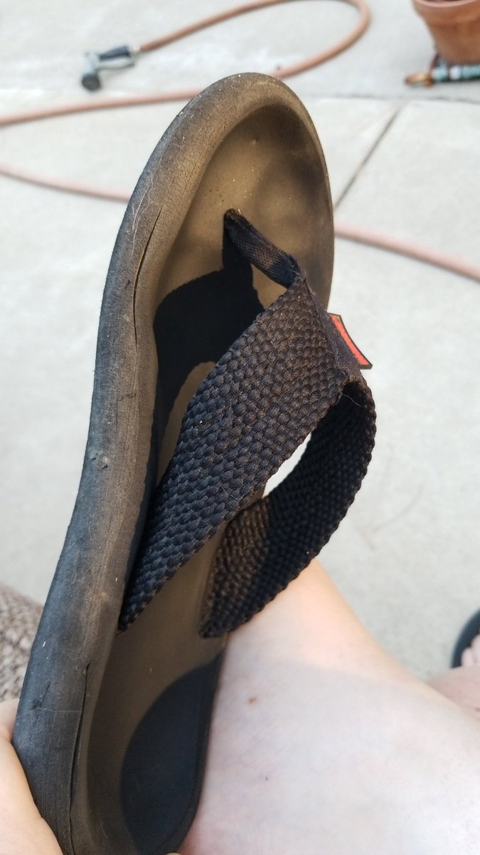 MyHappyFeetIG's tweet photo. These lasted me two summers. Time to retire them. What should I do with them?
#dirtysocks #socksforsale #sockfetish #dirtyshoes #feetpics #dailyfeet #footworship #footfetish #shoesforsale https://t.co/PzaKZJZQnK