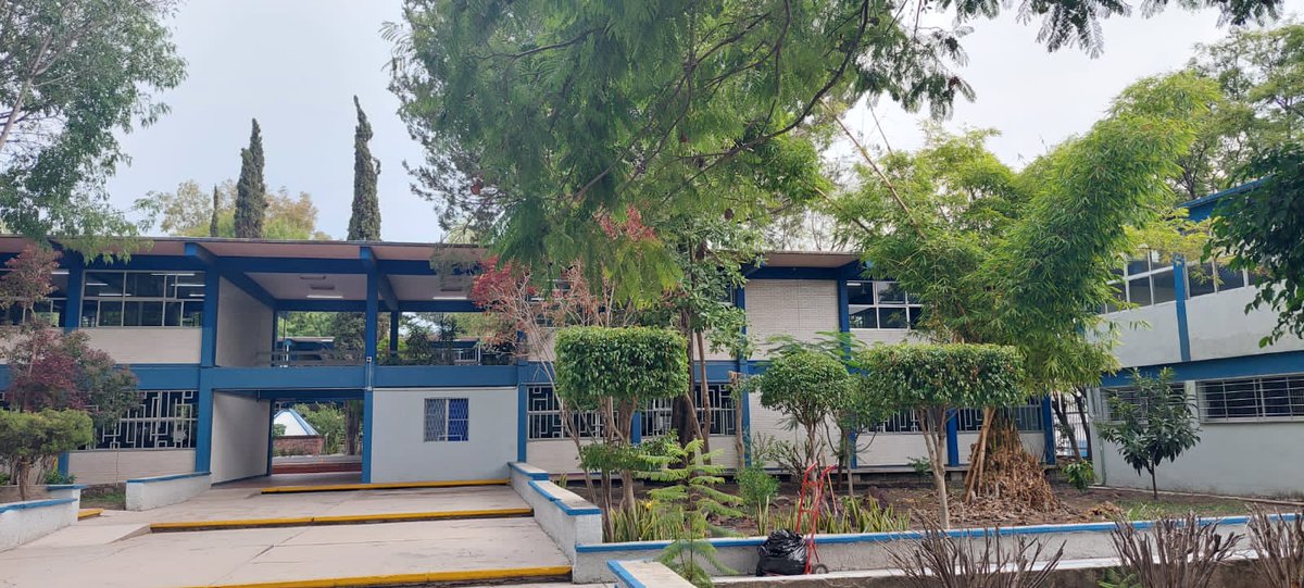 mauricioruizo's tweet photo. Tuve la oportunidad de compartir mi experiencia como legislador y dirigente de #Morena con estudiantes de la #PrepaSur, también les expliqué en qué consiste la Política de Gobierno de la #4T.
Los jóvenes no son el futuro, son el presente y los necesitamos en la vida política. https://t.co/ByYLY5Tai3