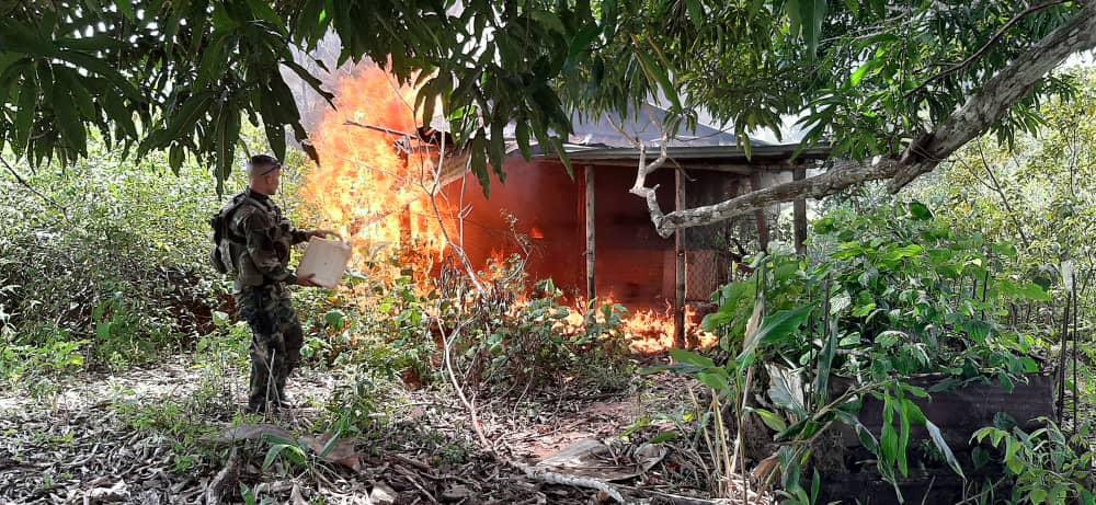 dhernandezlarez's tweet photo. No se permitirán  estructuras de ninguna naturaleza que sirvan de plataforma al narcotráfico, contrabando, minería ilegal, otros. En labores de patrullaje FANB destruye campamento TANCOL en el municipio Casacoima, estado Delta Amacuro. https://t.co/r3ZqLZCgOX
